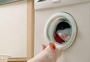 Как выбрать стиральную машину