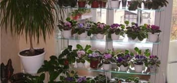 Стандартные стеклянные полки под заказ